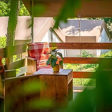 Sunflower Hotel 4*