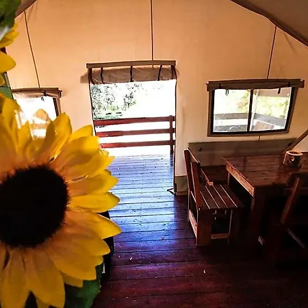 Hotel Sunflower